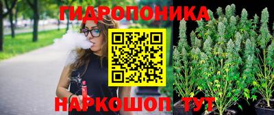 PSILOCYBIN Моздок
