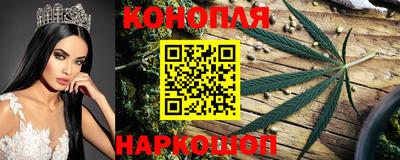 гидра Можга