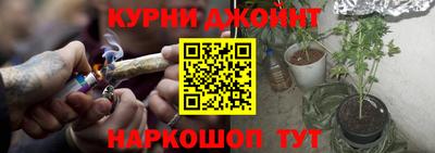 PSILOCYBIN Моздок