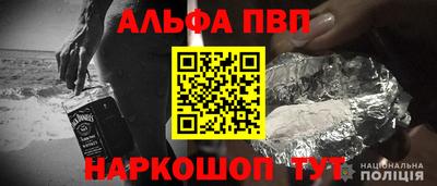 гидра Можга