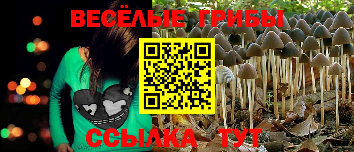 Чистополь  Псилоцибиновые грибы мицелий  Вход с VPN 